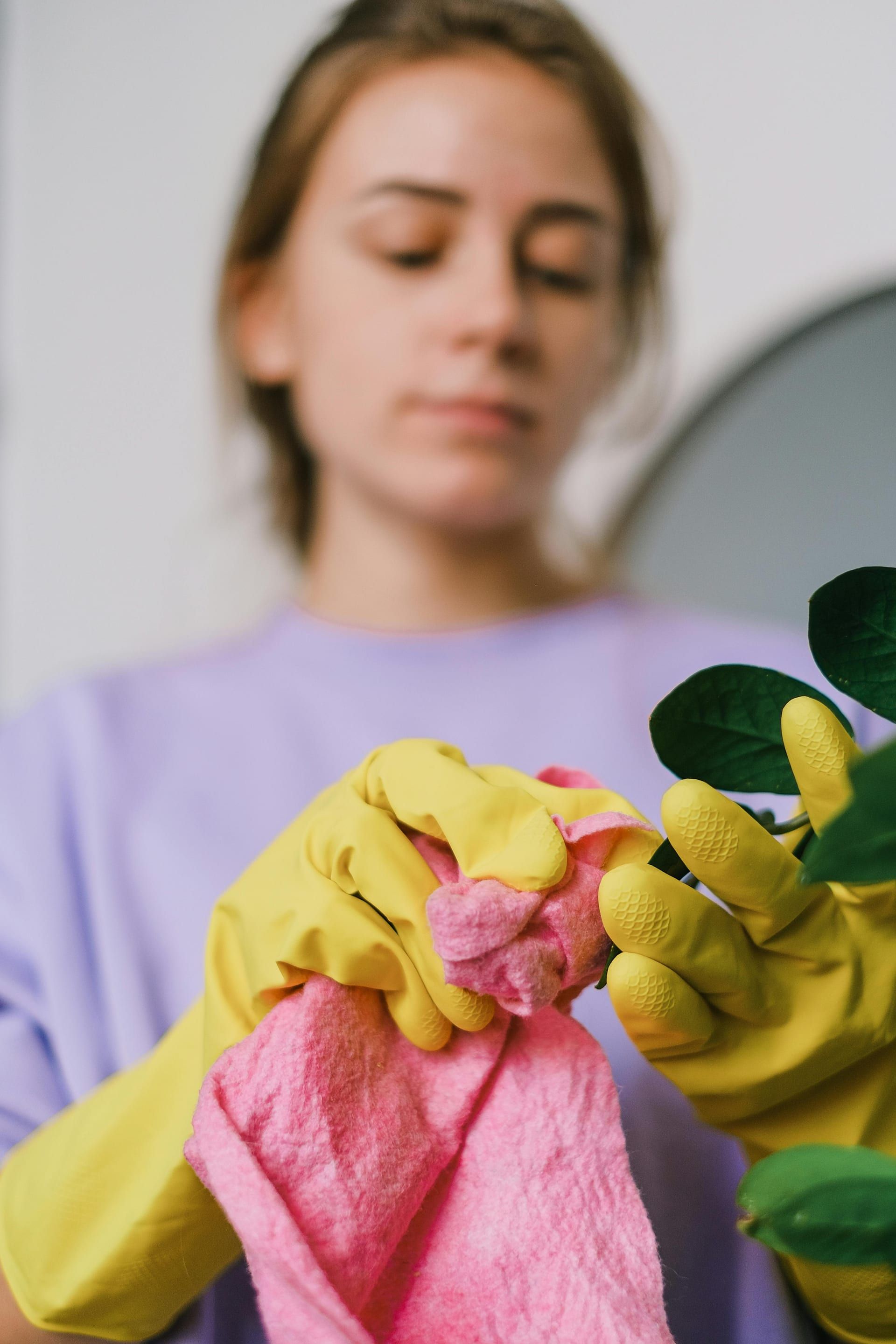 Wexford Cleaning team member
